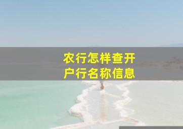 农行怎样查开户行名称信息