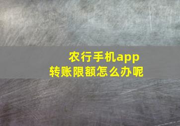 农行手机app转账限额怎么办呢