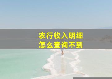 农行收入明细怎么查询不到