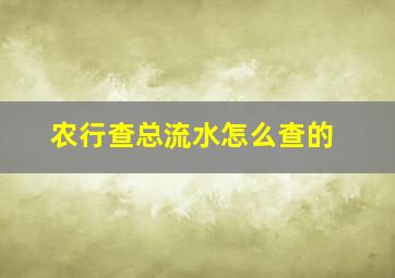 农行查总流水怎么查的