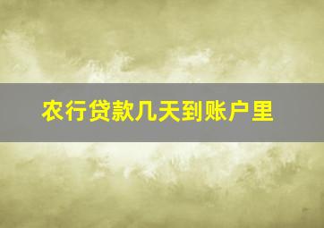 农行贷款几天到账户里