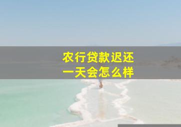 农行贷款迟还一天会怎么样