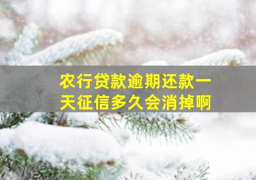 农行贷款逾期还款一天征信多久会消掉啊