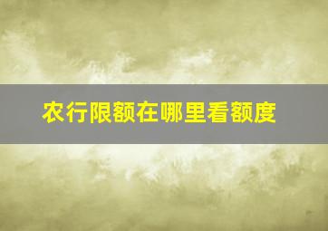 农行限额在哪里看额度