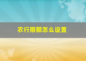 农行限额怎么设置