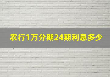 农行1万分期24期利息多少