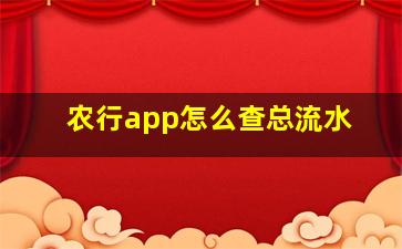 农行app怎么查总流水