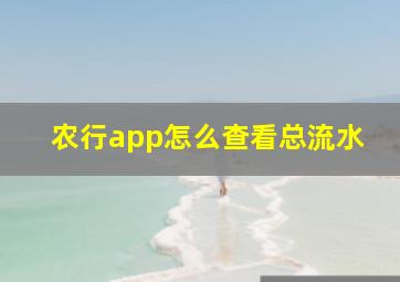 农行app怎么查看总流水