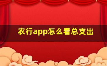 农行app怎么看总支出