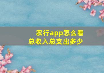 农行app怎么看总收入总支出多少