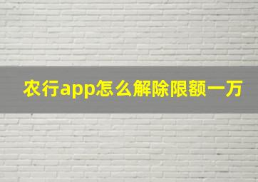 农行app怎么解除限额一万