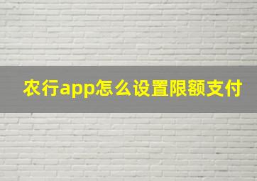 农行app怎么设置限额支付