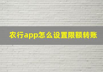 农行app怎么设置限额转账