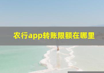 农行app转账限额在哪里