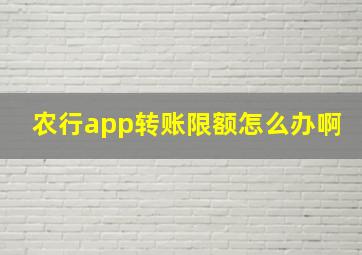 农行app转账限额怎么办啊