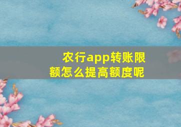 农行app转账限额怎么提高额度呢