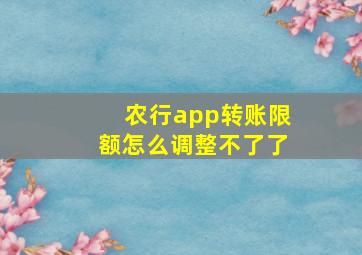 农行app转账限额怎么调整不了了