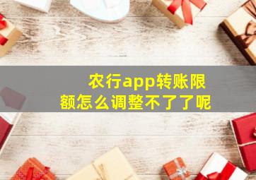 农行app转账限额怎么调整不了了呢