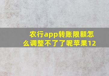 农行app转账限额怎么调整不了了呢苹果12