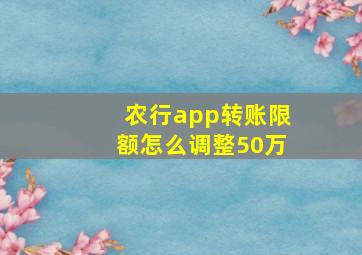 农行app转账限额怎么调整50万