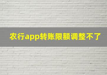 农行app转账限额调整不了