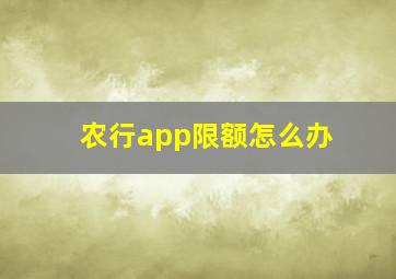 农行app限额怎么办