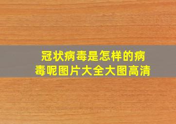 冠状病毒是怎样的病毒呢图片大全大图高清