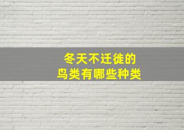 冬天不迁徙的鸟类有哪些种类