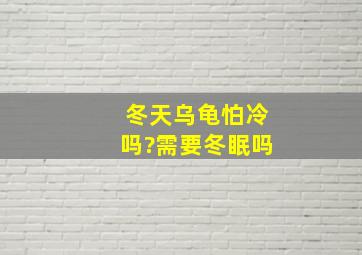 冬天乌龟怕冷吗?需要冬眠吗