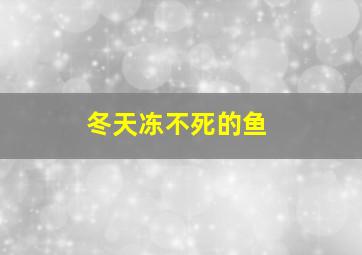 冬天冻不死的鱼