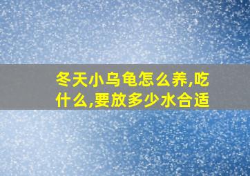 冬天小乌龟怎么养,吃什么,要放多少水合适