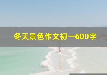 冬天景色作文初一600字