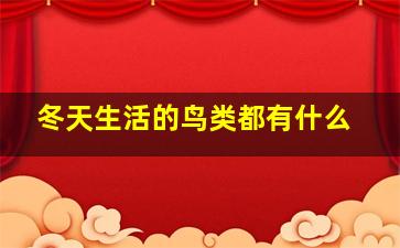 冬天生活的鸟类都有什么