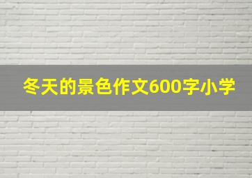 冬天的景色作文600字小学