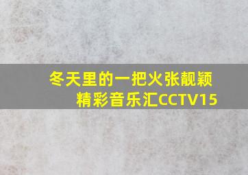 冬天里的一把火张靓颖精彩音乐汇CCTV15