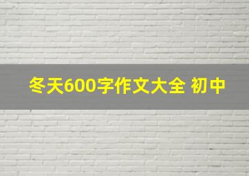 冬天600字作文大全 初中