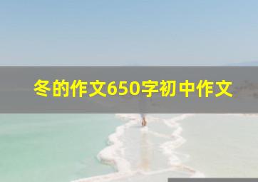 冬的作文650字初中作文