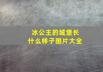 冰公主的城堡长什么样子图片大全