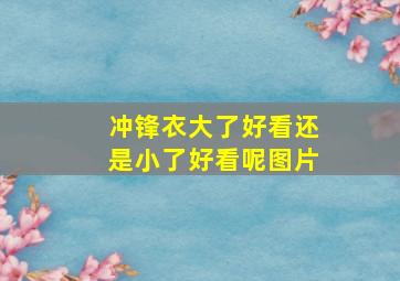 冲锋衣大了好看还是小了好看呢图片