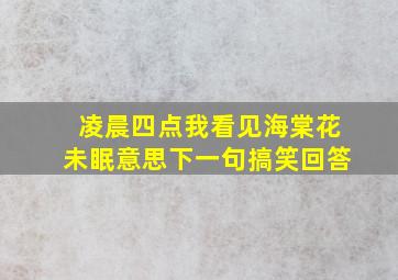 凌晨四点我看见海棠花未眠意思下一句搞笑回答