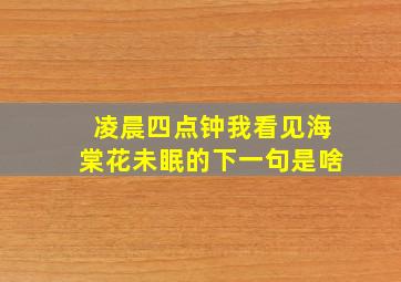 凌晨四点钟我看见海棠花未眠的下一句是啥