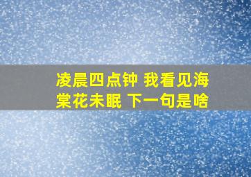 凌晨四点钟 我看见海棠花未眠 下一句是啥