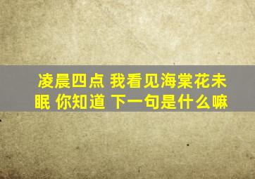 凌晨四点 我看见海棠花未眠 你知道 下一句是什么嘛