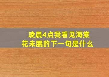 凌晨4点我看见海棠花未眠的下一句是什么