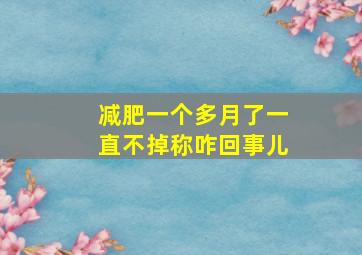 减肥一个多月了一直不掉称咋回事儿