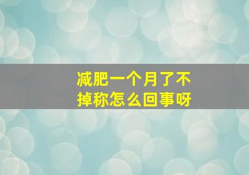 减肥一个月了不掉称怎么回事呀