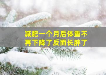 减肥一个月后体重不再下降了反而长胖了