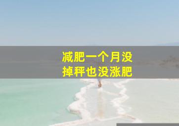 减肥一个月没掉秤也没涨肥