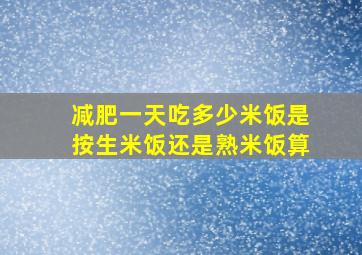 减肥一天吃多少米饭是按生米饭还是熟米饭算