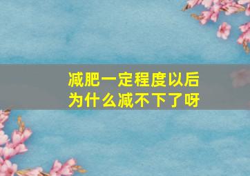 减肥一定程度以后为什么减不下了呀